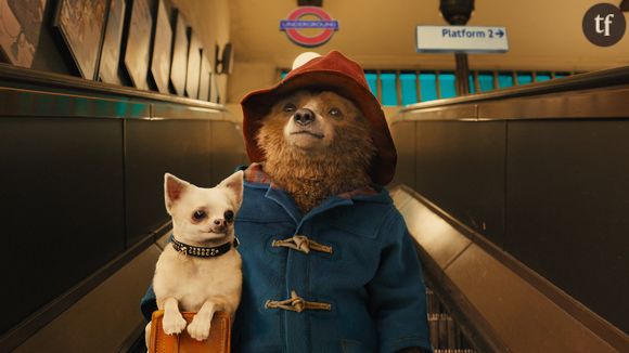 "Paddington" débarque en DVD