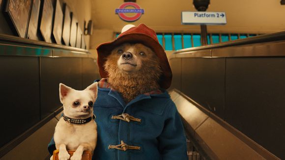 Paddington : l'ours en duffle-coat débarque en DVD