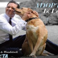 Tom Hardy embrasse son chien pour la PETA