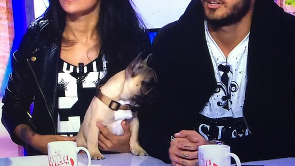 Les Anges 7 : Shannah et Thibault de retour dans les Anges 8 ?