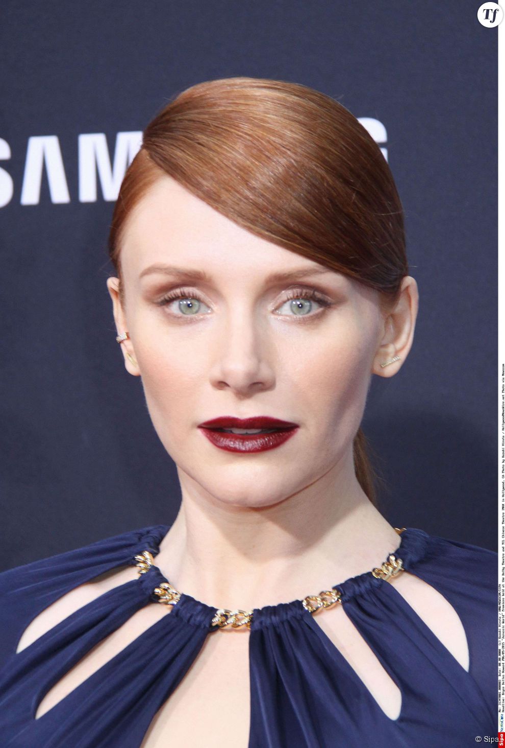  Bryce Dallas Howard    06/09/2015 &quot;Jurassic World&quot; Premiere held at the Dolby Theatre and TCL Chinese Theatre IMAX in Hollywood, CA Photo by Kazuki Hirata / HollywoodNewsWire.net  