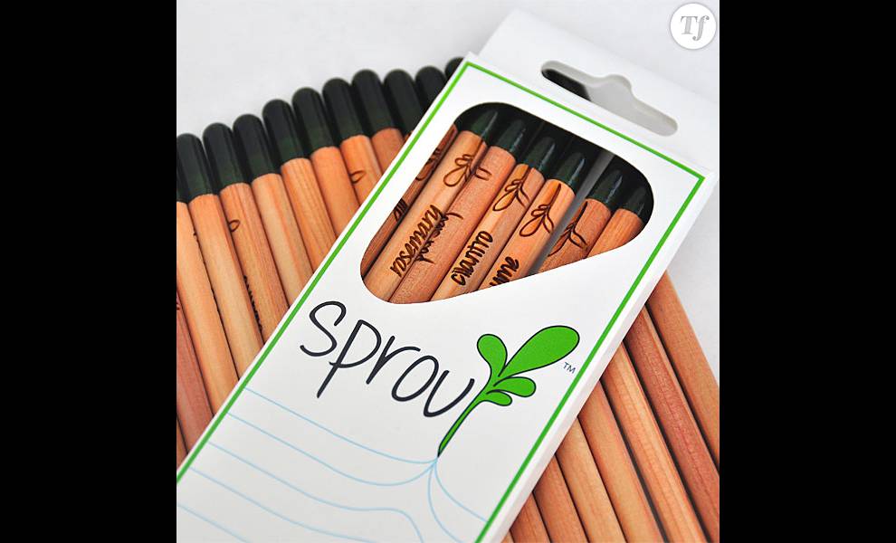 Sprout, le crayon-graine à planter