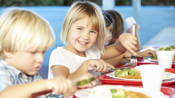 Faut-il instaurer un menu végétarien dans les cantines ?