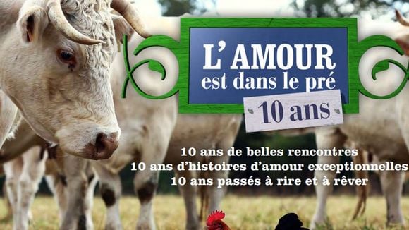 Amour dans le pré : dix ans de coups de foudre sur M6 Replay / 6Play