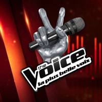 The Voice 2016 : Garou, Zazie, Mika et Florent Pagny de retour sur TF1