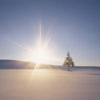 Météo France 2016 : de la neige en janvier ou février ?