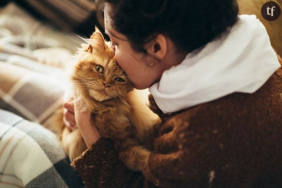 Les scientifiques révèlent ce qui se passe dans la tête des chats