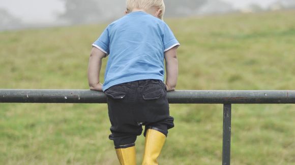 Grimper aux arbres, se disputer... 5 activités qui sont (en fait) bénéfiques aux enfants