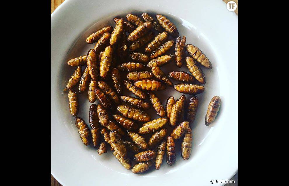 Entomophagie: faut-il manger des insectes? (©Instagram  bugible  )
