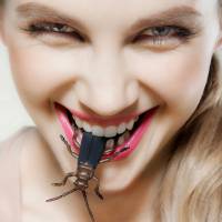 Entomophagie : et si on se mettait à grignoter des insectes ?