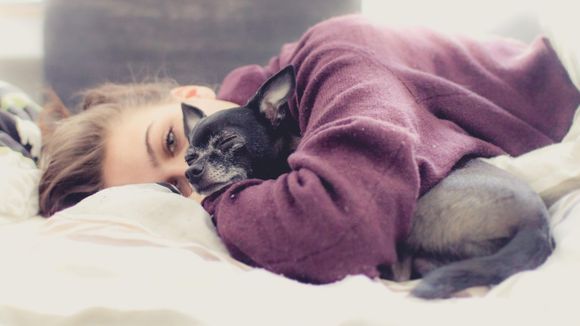 9 façons qu'a votre chien de vous dire : "Je t'aime"