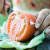 Faire pousser un plant de tomates à partir d'une rondelle, c'est possible