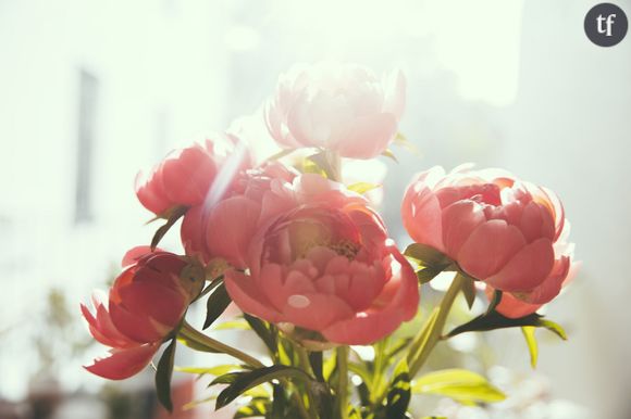Nos conseils pour conserver plus longtemps un bouquet de fleurs fraîches