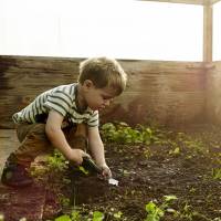 Voici le kit de jardinage pour enfants pour faire pousser du cannabis