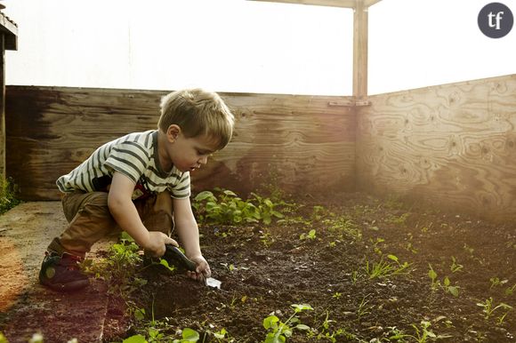 Une plante pour enfants ?