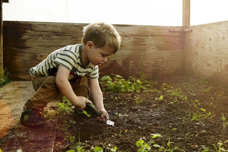Voici le kit de jardinage pour enfants pour faire pousser du cannabis -  Terrafemina