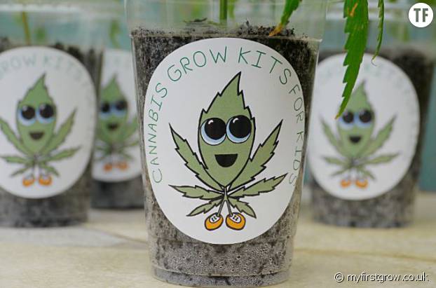 Voici le kit de jardinage pour enfants pour faire pousser du cannabis -  Terrafemina