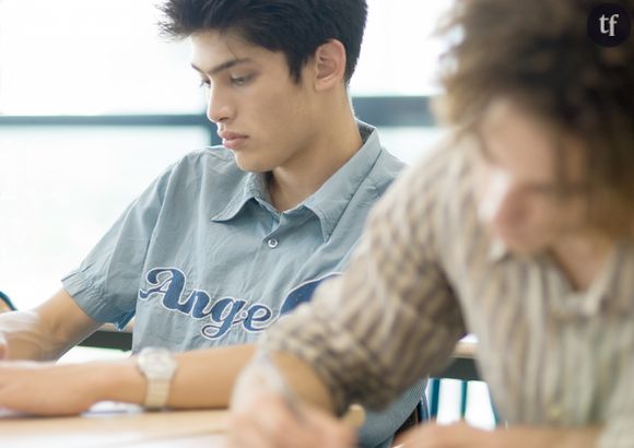 Bac 2018 : sujets et corrigés de l'épreuve anticipée de sciences ES et L (20 juin)