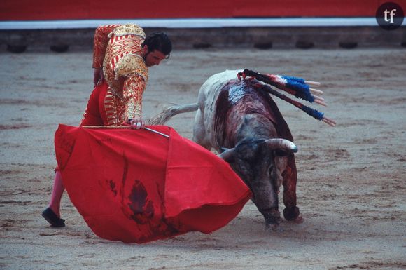 Corrida à la feria de San Fermin de Pampelune