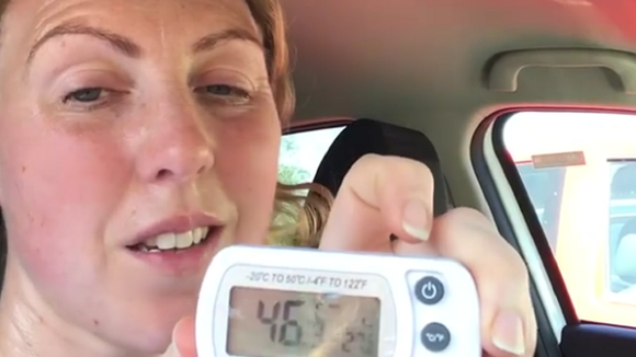 Elle s'enferme dans sa voiture pour alerter les propriétaires de chiens