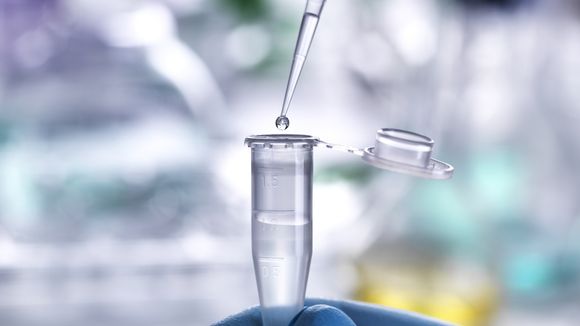 Elle subit une ablation des seins, de l'utérus et des ovaires... pour rien