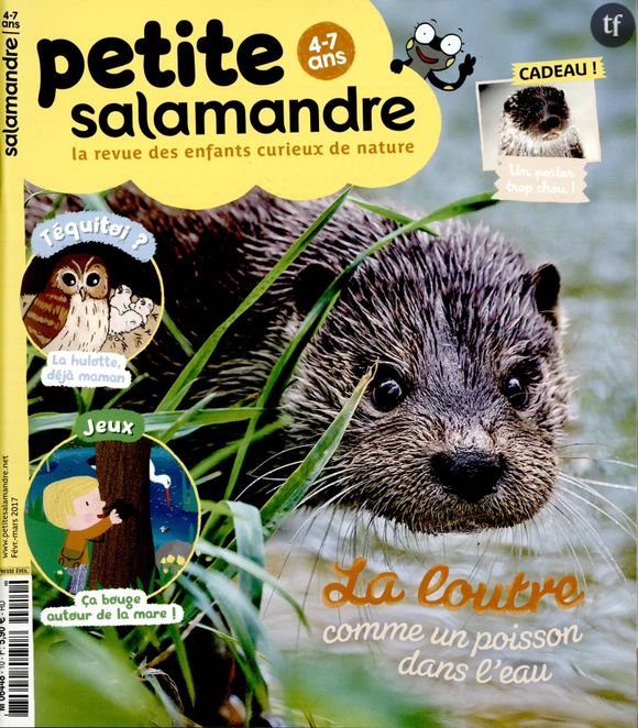 La Petite Salamandre Junior