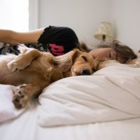 Les femmes dormiraient mieux avec un chien qu'avec un humain