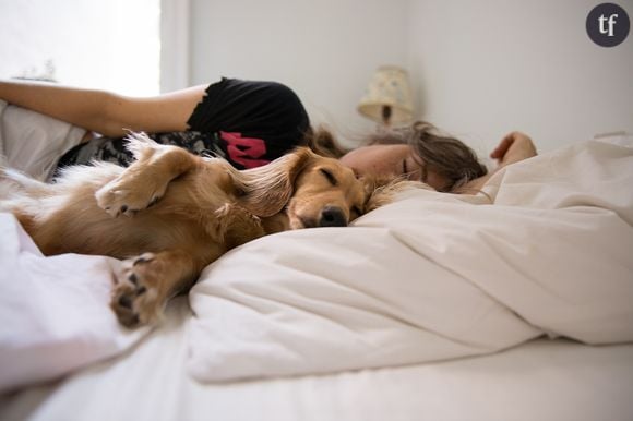 La clé pour un meilleur sommeil ? Dormir avec son chien