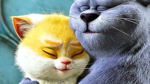 5 films d'animation adorables pour les amoureux des chats