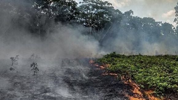 #PrayForAmazonia : les internautes s'indignent contre l'indifférence générale