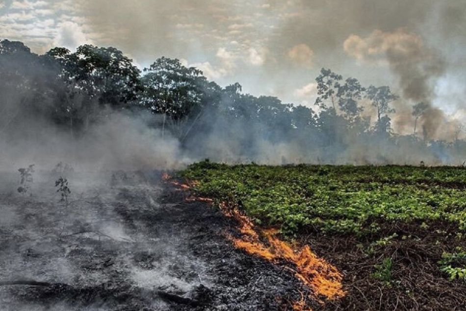 L'Amazonie est en proie aux flammes depuis des jours.
