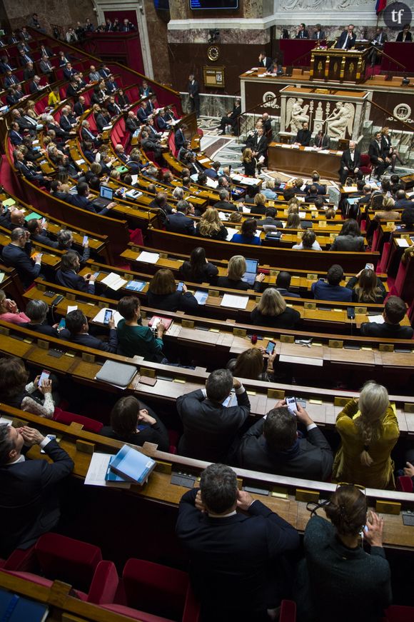 Vote de la PMA pour toutes à l'Assemblée nationale (Photo d'illustration)