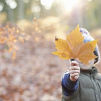 5 chouettes activités à faire avec les enfants un mercredi d'automne