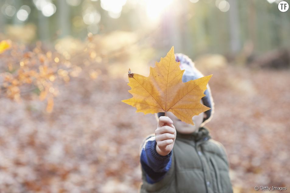 5 Idées Dactivités Pour Les Enfants Un Mercredi Dautomne