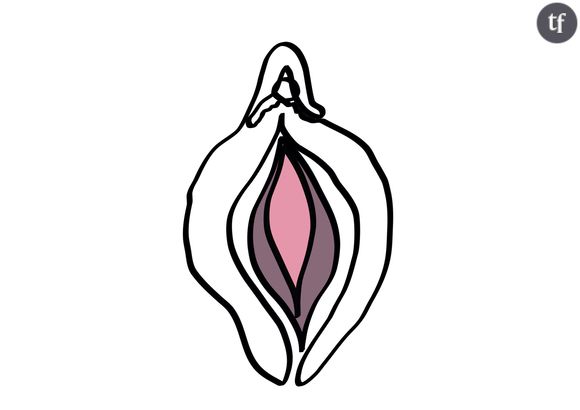 A quoi sert le "vulva mapping" (et pourquoi c'est nécessaire) ?