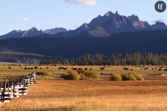 Aux Etats-Unis, l'Idaho instaure une nouvelle loi anti-IVG scandaleuse