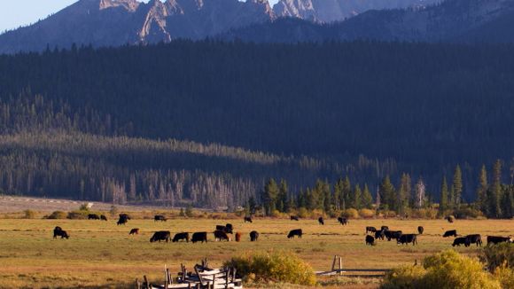 Aux Etats-Unis, l'Idaho instaure une nouvelle loi anti-IVG scandaleuse