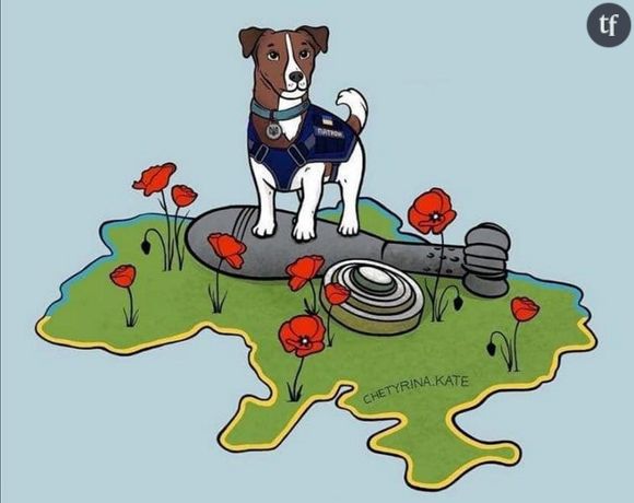 Patron, le chien ukrainien qui détecte les bombes [Photo : Twitter du service de Poste ukrainien @ukrposhta]





 





