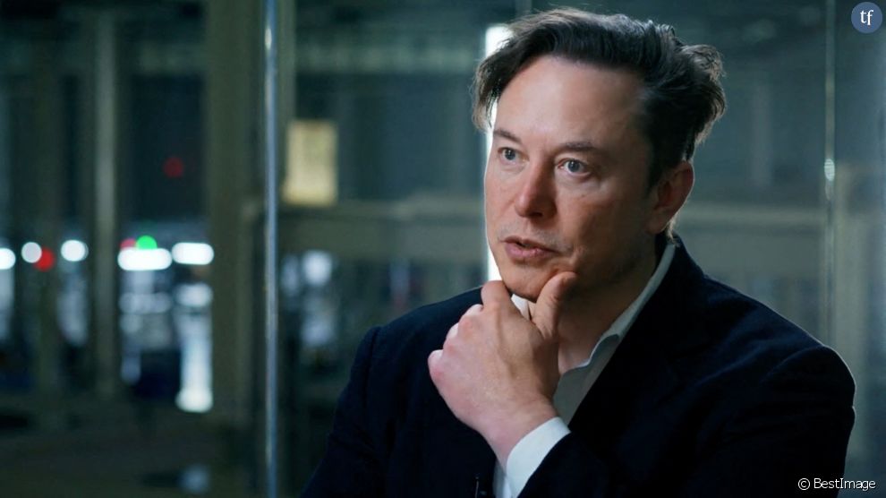     Suite au rachat de Twitter par Elon Musk, le patron de Tesla, de nombreux utilisateurs ont souhaité quitter la plateforme, notamment pour son concurrent Mastodon    
        