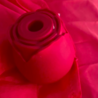 Mais quel est ce sextoy en forme de rose qui affole TikTok ?