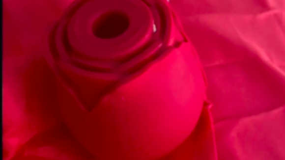 Mais quel est ce sextoy en forme de rose qui affole TikTok ?