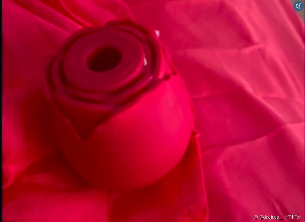 Le &quot;Rose Toy&quot; est en train de devenir viral sur TikTok