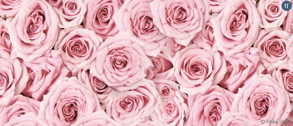   La rose, symbole de l&#039;amour,   du romantisme, de la séduction et...  