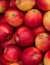  "Les produits chimiques, tels que les flavonoïdes, présents dans la peau de la pomme et de l'olive sont responsables de cette inactivation. Concernant les pâtisseries, les sont recouvertes d'un liquide aux oeufs, qui peut avoir un effet inhibiteur sur le virus" 