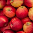  "Les produits chimiques, tels que les flavonoïdes, présents dans la peau de la pomme et de l'olive sont responsables de cette inactivation. Concernant les pâtisseries, les sont recouvertes d'un liquide aux oeufs, qui peut avoir un effet inhibiteur sur le virus" 