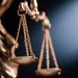 Une plainte a d'ailleurs été déposée auprès du tribunal judiciaire de Châlons-en-Champagne pour "acte de cruauté" par l'association Nos Viventia.