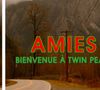 Dans "AMIES", Anaïs Bordages et Marie Telling sont journalistes chez Slate, mais aussi amies. Ensemble, elles se lancent dans de trépidants visionnages thématiques, à chaque saison : la série Twin Peaks, les films d'horreur, les rom coms (les deux en parallèle, pour plus de grand écart façon Van Damme), les "navets ou chefs d'oeuvre". Elles partagent, elles découvrent, elles rient (beaucoup), et surtout : elles en parlent.