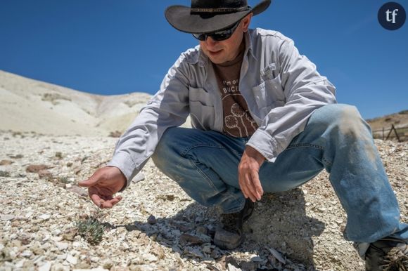 "Ca va provoquer son extinction !" : au Nevada, une fleur unique au monde menacée par une mine à ciel ouvertPatrick Donnelly, membre de l'ONG américaine Center for Biodiversity, examine un spécimen de "Tiehm's buckwheat", une fleur unique au monde et menacée par un projet de mine de lithium, sur le site de Rhyolite Ridge, dans le Nevada