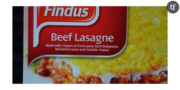 Findus : viande de cheval roumain dans les lasagnes en France