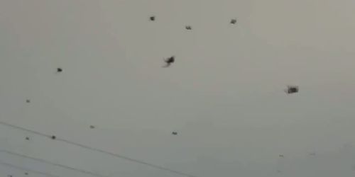 Des araignées dans le ciel au Brésil - Vidéo